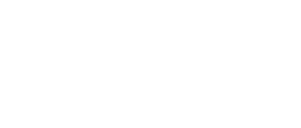 TCFD benchmark Radial compressor mesh 2