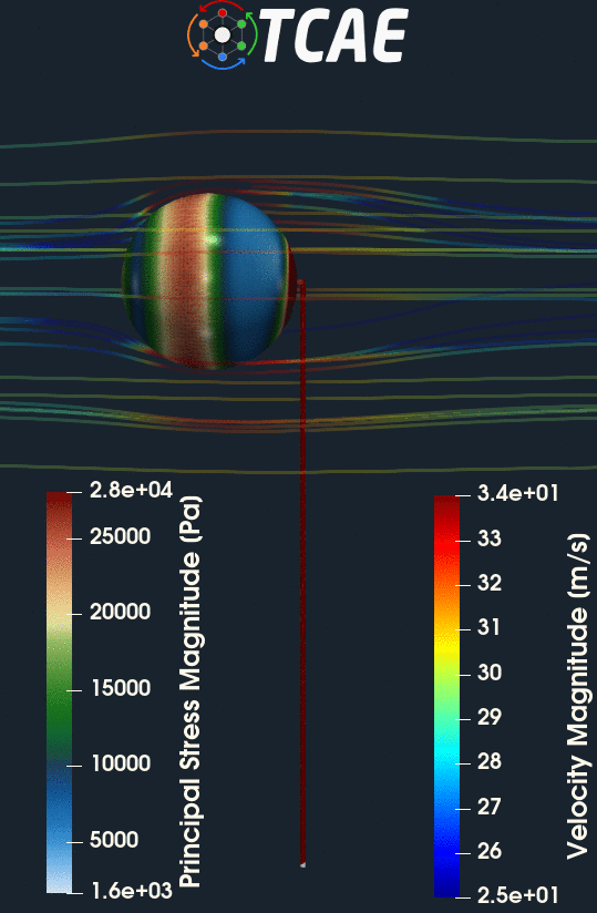 TCAE BBB stress animation gif