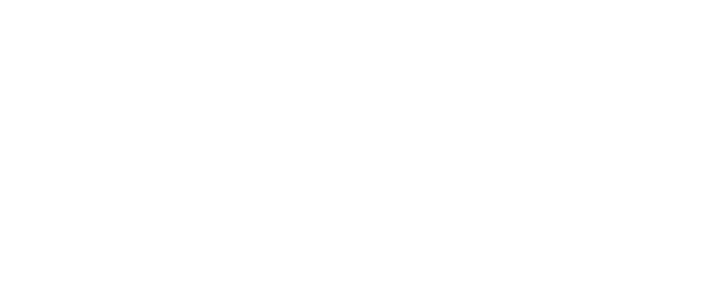 CZ compressor mesh view 2 invert