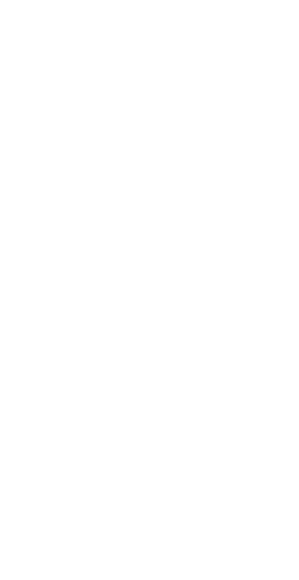 CZ compressor mesh view 3 invert