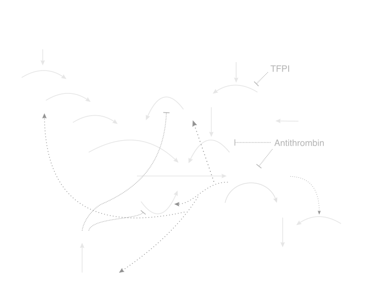 blood coagulation model chemical reaction chain