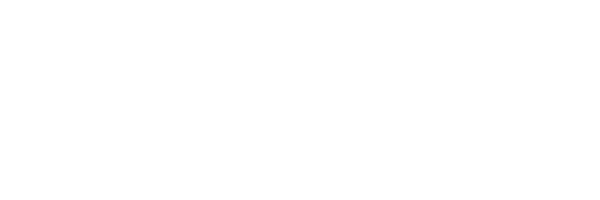 logo-HEVVY-TOYO-PUMPS-logo-80