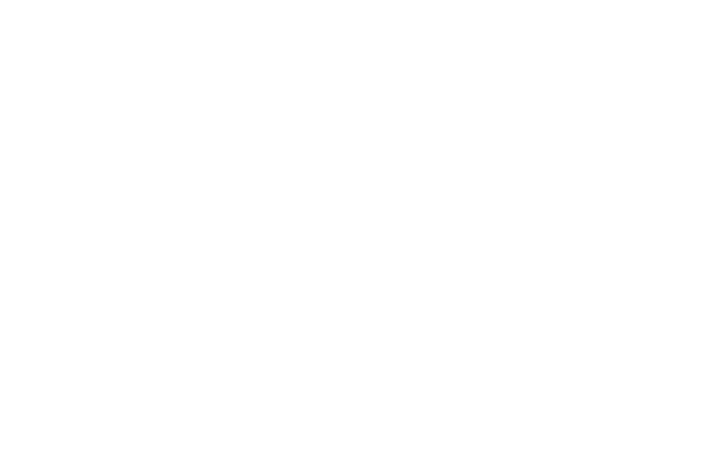 logo_CNES_2017-80