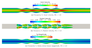 CAE Software Development 7 LP PhD thesis example