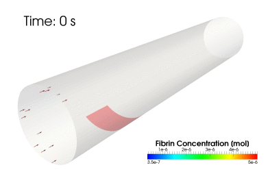 CAE Software Development 8 bloodCoagulationProcess 1